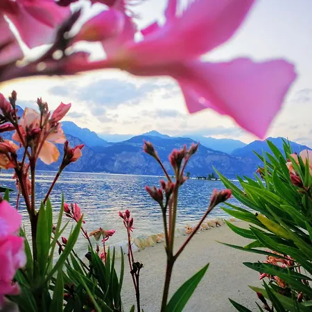 Casa Olivia - Garda Ferienhaus Bardolino